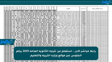 رابط مباشر الآن.. استعلم عن نتيجة الثانوية العامة 2025 برقم الجلوس عبر موقع وزارة التربية والتعليم